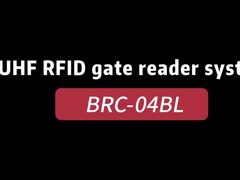 BRC-04BL Khung đầu đọc cổng UHF RFID / Hệ thống kiểm soát truy cập cổng RFID